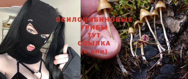 ГАЛЛЮЦИНОГЕННЫЕ ГРИБЫ Нягань