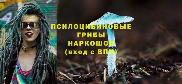 ГАЛЛЮЦИНОГЕННЫЕ ГРИБЫ Нягань