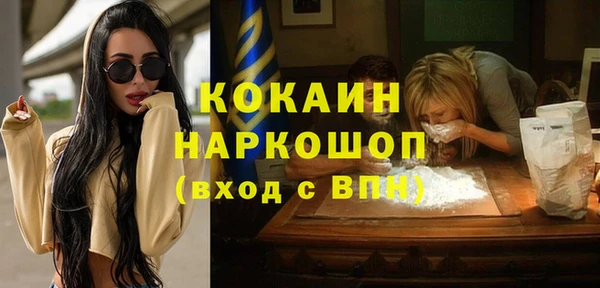мдпв Няндома