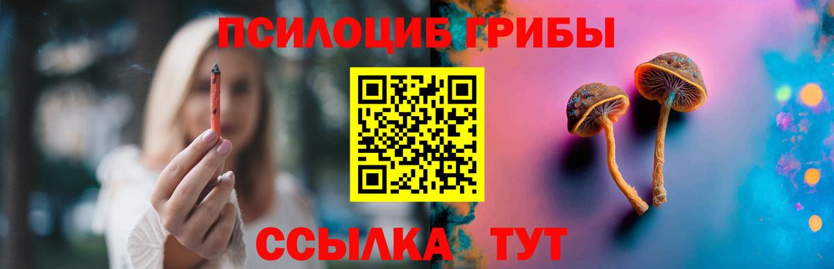 Псилоцибиновые грибы Cubensis  Вход с VPN  купить закладку  Аргун  Галлюциногенные грибы Cubensis 