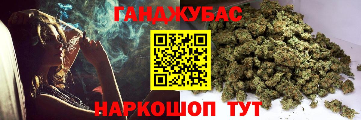 Бошки Шишки планчик Аргун