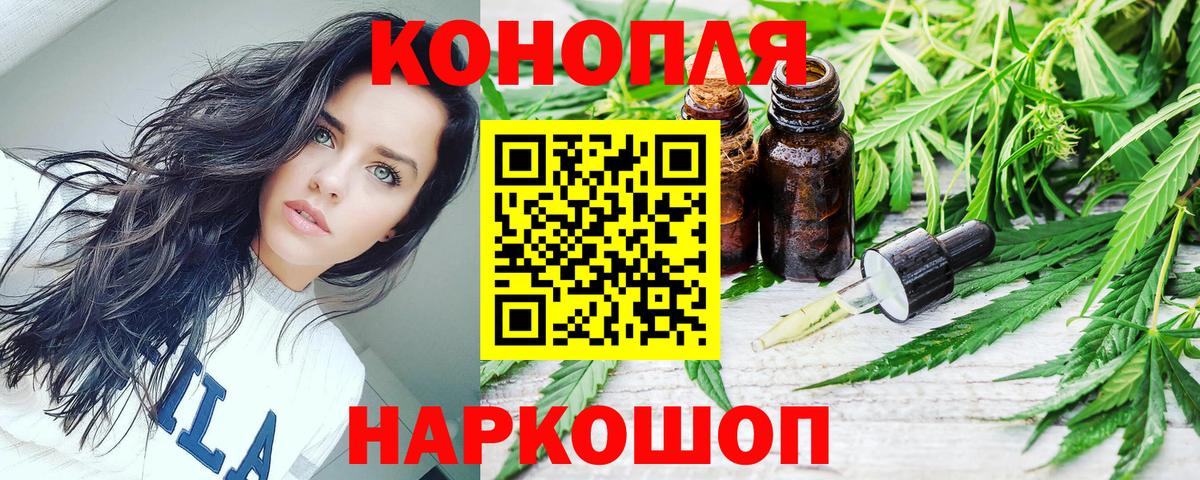 Аргун  Бошки марихуана сатива  Вход с VPN  Каннабис SATIVA & INDICA  МАРИХУАНА тримм  МАРИХУАНА THC 21% 