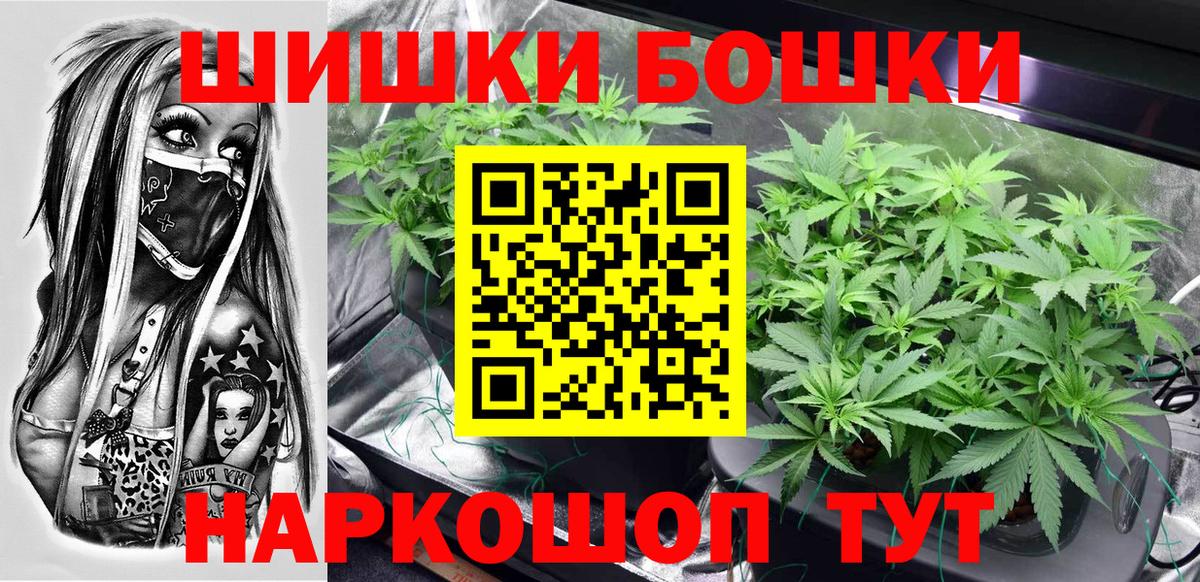 МАРИХУАНА планчик  Конопля сатива  Аргун  Шишки марихуана индика 